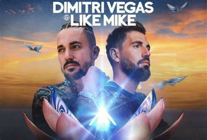 Dimitri Vegas & Like Mike Net Worth & Earnings (2024)