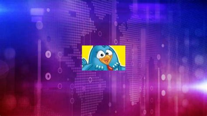Galinha Pintadinha Net Worth & Earnings (2024)