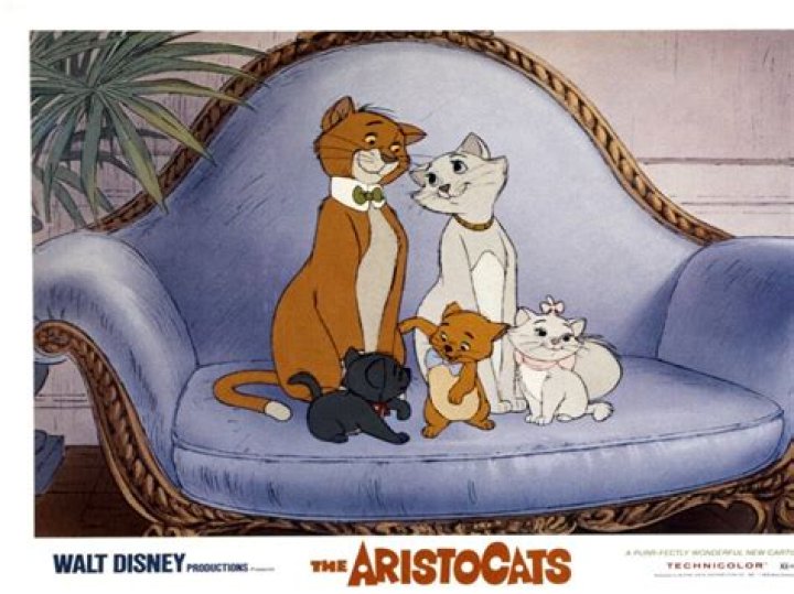 What is the name of the Orange kitten in The Aristocats? – Celebrity