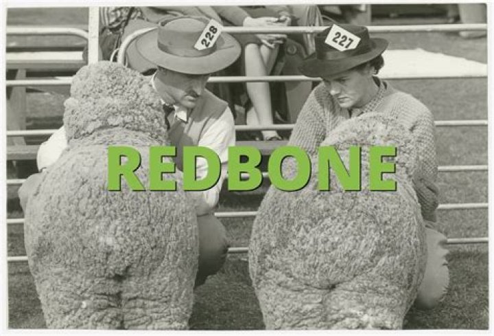 What’S A Redbone Slang? – Celebrity